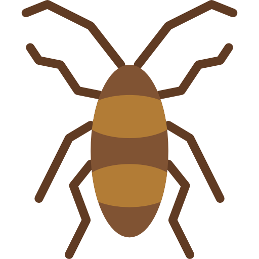Imagen de cucaracha