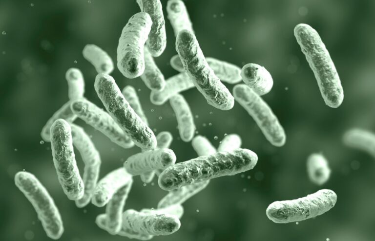 control-de-la-legionella